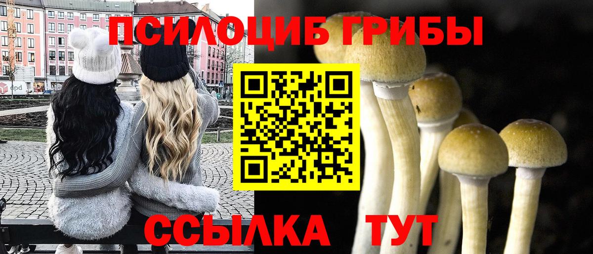 Псилоцибиновые грибы прущие грибы Каменка